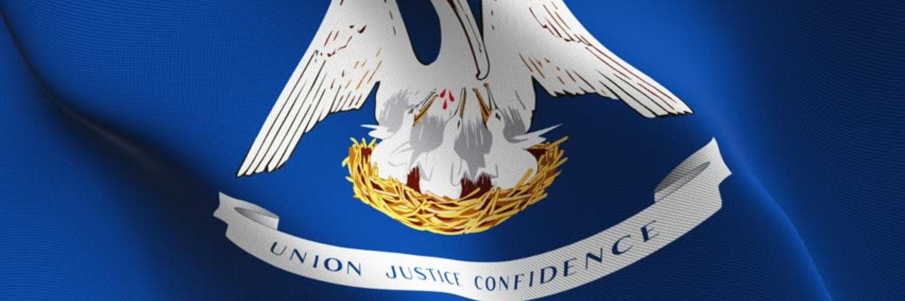 Louisiana Legal Lexicon
